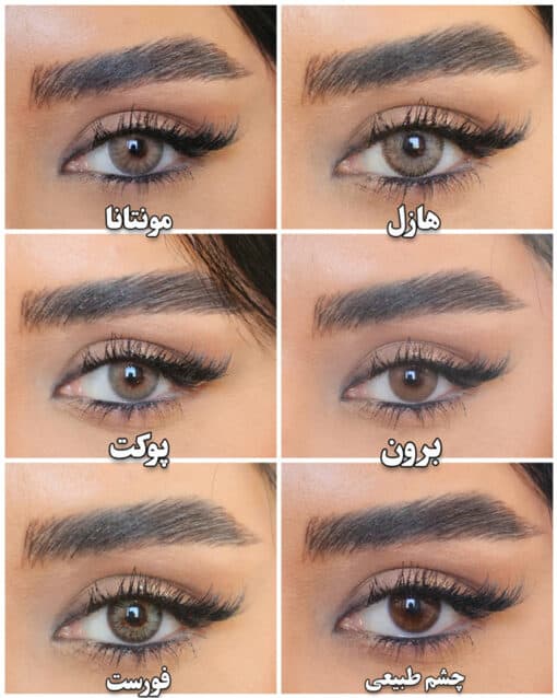 مشاهده کاتالوگ لنز چشم ایفوریا